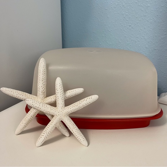 Tupperware Kitchen Tupperware Poultry Keeper Flavor Saver Container